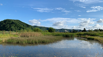 沿革・実績