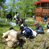 すずらん群生地の除草作業