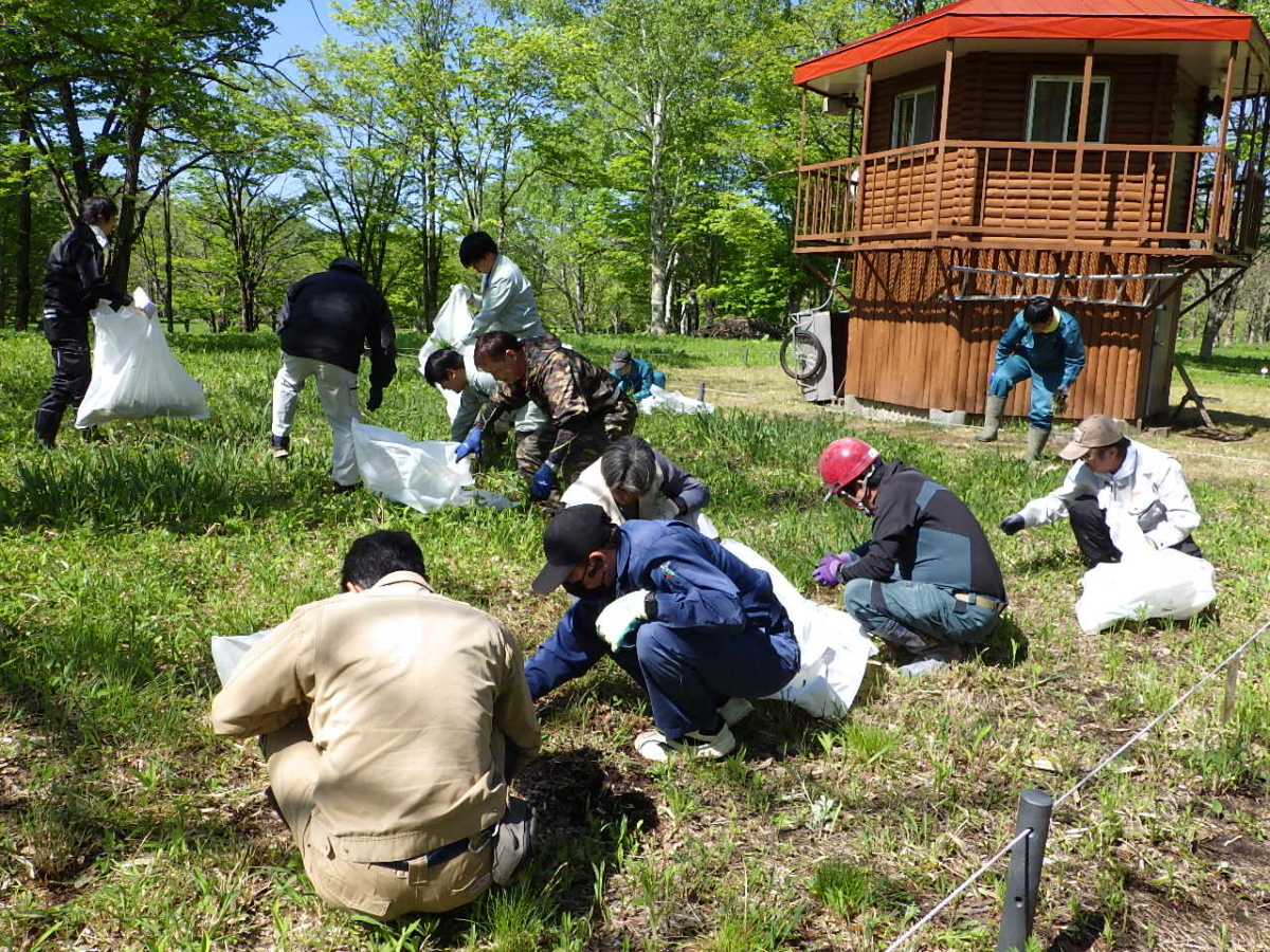 すずらん群生地の除草作業