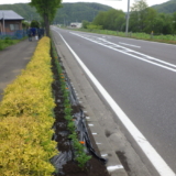 花壇整備
